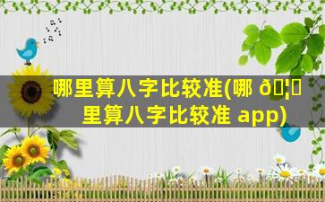 哪里算八字比较准(哪 🦉 里算八字比较准 app)
